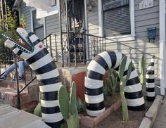 two large black and white striped plants in front of a house