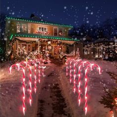 christmas lights decorate the front yard of a house with candy canes on the driveway