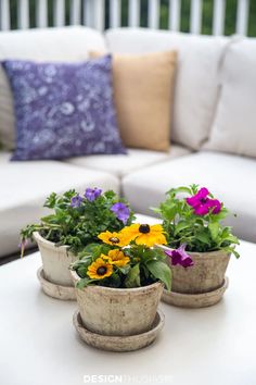 three potted plants sitting on top of a white table next to a couch and pillows