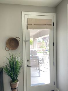 a potted plant sitting in front of a glass door