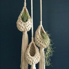 three macrame hangings with plants in them