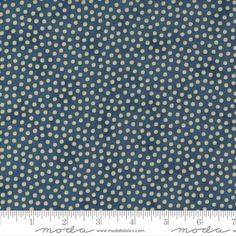 a blue and white polka dot fabric with gold dots on the bottom, it has a ruler