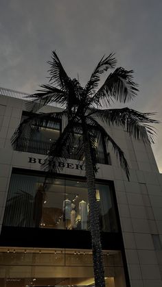 a tall palm tree sitting in front of a building