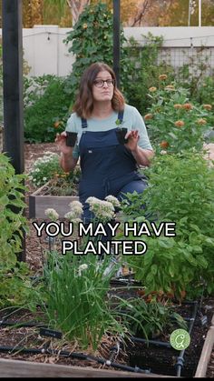 a woman sitting in the middle of a garden surrounded by flowers and plants with text that reads, you may have planted