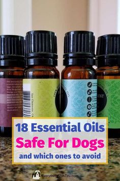 What essential oils are safe for dogs? Here is a list of 18 essentials oils that are safe for dogs and what essential oils are best for certain conditions Dog Perfume Diy Essential Oils, Essential Oils To Avoid With Dogs, Essential Oils Bad For Dogs Diffuser, Diy Dog Shampoo With Essential Oils, Essential Oils For Puppies, Essential Oils That Are Bad For Dogs, Essential Oils Good For Dogs, Essential Oils That Are Safe For Dogs, Calming Scents For Dogs