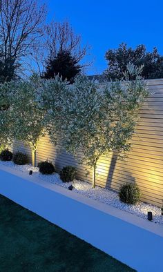 an outdoor garden with white gravel and trees lit up by lights on the side of it