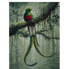 a painting of a bird sitting on a branch in the forest with other birds around it