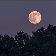 the full moon is shining brightly in the night sky above some tree tops and trees