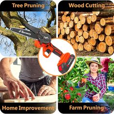 four pictures showing different types of tree pruning, wood cutting and home improvement