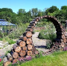 an outdoor garden with logs and flowers in the foreground