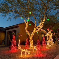 christmas lights decorate trees and bushes in front of a house