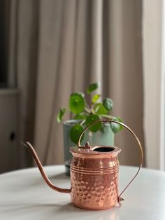 a metal watering can sitting on top of a table next to a potted plant