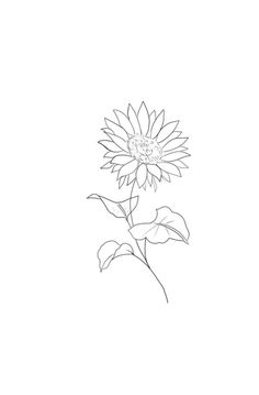 a drawing of a sunflower on a white background