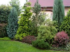 a garden with lots of trees and bushes in front of a pink house on the grass