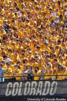 a large group of people in yellow shirts and hats at a stadium with the words colorado on it