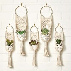 four white hanging planters with succulents and plants in them on the wall