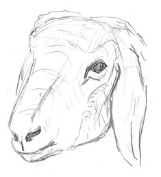 a drawing of a goat's head