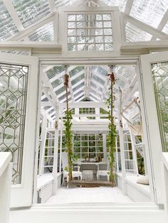 the inside of a greenhouse with white walls and glass windows, plants growing on the ceiling