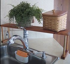 a potted plant sitting on top of a kitchen sink next to a wooden shelf