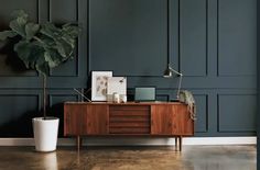 a potted plant sitting on top of a wooden dresser