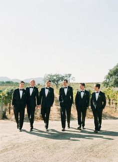 a group of men in tuxedos walking down a dirt road next to a vineyard