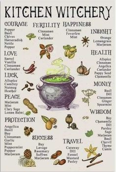 Uhyggelig Halloween, Witch Herbs, Magic Herbs, Wiccan Witch, Magical Herbs, Wiccan Spell Book