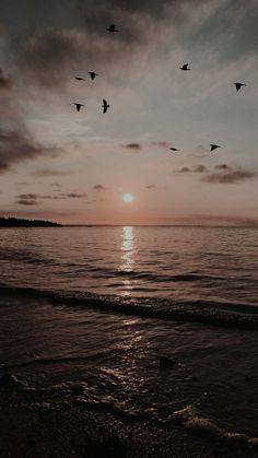 birds flying over the ocean at sunset