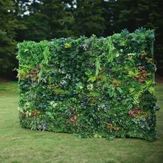 a green wall made out of plants in the grass