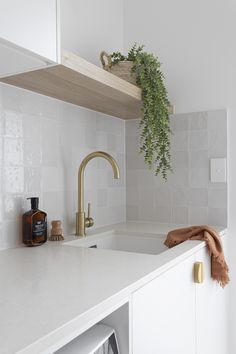 a white kitchen with a sink, dishwasher and green plant in the corner