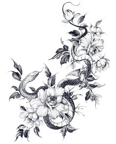 an ink drawing of flowers and vines