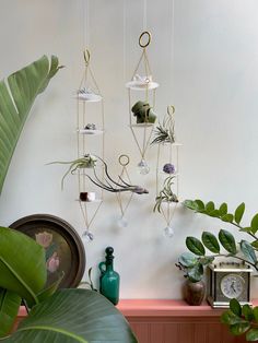 there is a plant hanging from the wall next to a clock and potted plants