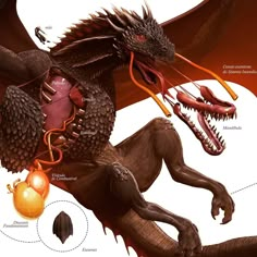 an image of a dragon with its mouth open and other parts labeled in the diagram