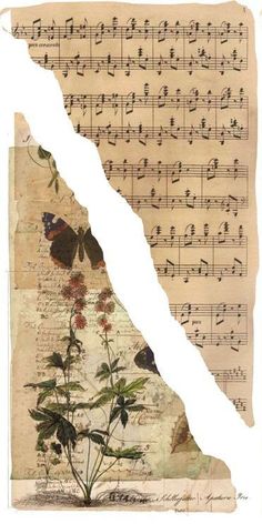 a piece of paper with music notes on it and a flower in the middle, surrounded by butterflies