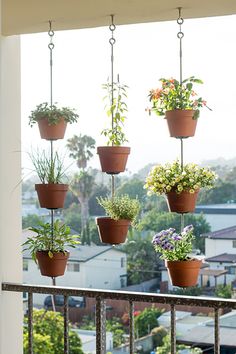 several potted plants hanging from the side of a window sill on a balcony