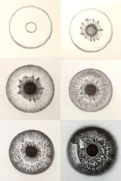 four different types of eyes are shown in black and white, including one with an eyeball