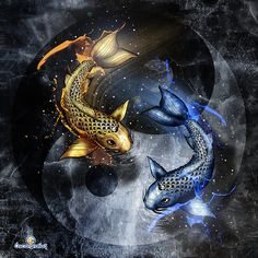 two gold and blue koi fish swimming on top of each other in front of a full moon