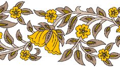 yellow flowers and leaves on a white background