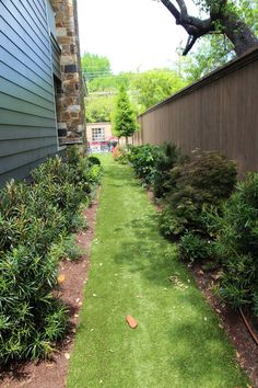 the grass is green and ready to be mowed in front of the house or into the back yard