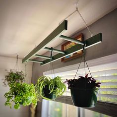 two hanging planters on a window sill next to a potted green plant