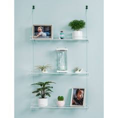 three shelves with plants and pictures on them