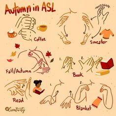 English Sign Language, Light Orange Background, Asl Words, Learning Asl, Simple Sign Language, Sign Language Art, Asl Sign Language Words, Sign Language Chart, Sign Languages