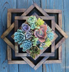 an arrangement of succulents in a wooden frame on a blue wood wall