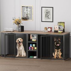 two dogs sitting on the floor in front of an entertainment center with open shelving