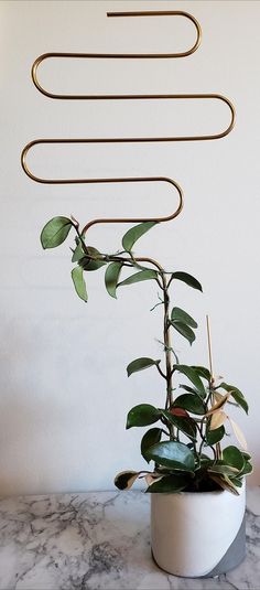 a potted plant sitting on top of a table next to a wall mounted sculpture