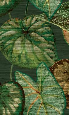 tropical flower background Wallpaper For Sale, Tropical Leaf Print, Tropical Wallpaper, Tropical Foliage, Botanical Wallpaper, Paul Gauguin, Leaf Wallpaper, Textured Wallpaper, Tropical Paradise