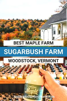 the best maple farm sugar bush farm woodstock vermont is one of the best things to see