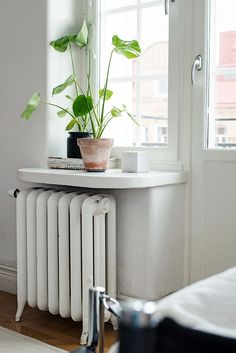 a potted plant sitting on top of a white radiator next to a window