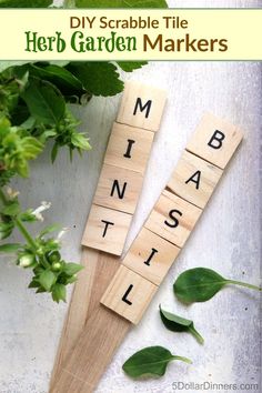 two scrabbles with words that spell out the word mismasticial