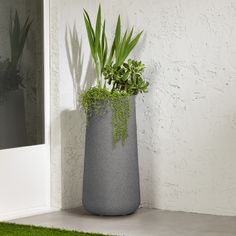 a potted plant sitting on the ground next to a door with grass growing in it