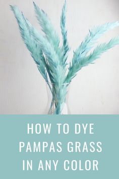 a vase filled with green plants and text overlay reads how to dye pampass grass in any color